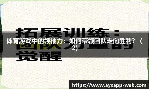 爱游戏体育